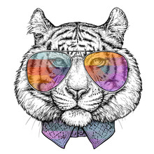 Hand Drawn Portrait Of Tiger In Glasses. Vector Illustration Isolated On White