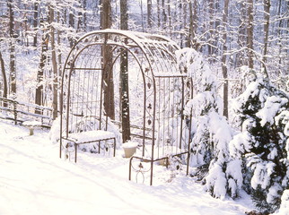 Garden Arbor covered in snow sits vacant on the edge of a forest creating a peaceful Winter scene as it waits for Spring