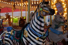 Zebra On Vintage Merry-Go-Round
