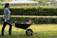 Woman Pushing A Wheelbarrow With Logs At Home