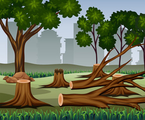 Tree trunk was cut with many trees on the forest background