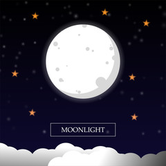 moon and star in the night sky. vector illustration.