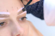 Cosmetologist is tinting woman eyebrows with brown paint in beauty clinic, closeup brow. Beautician applying natural henna using brush on brows of client. Professional tint eyebrow procedure.