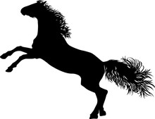 Drawing The Black Silhouette Of Standing Horse On A White Background