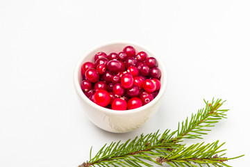 Ripe fresh cranberries in a bowl with pine branch isolated on white background. Winter healthy eating. Organic and vegetarian food contain vitamin c. Close up, copy space for text