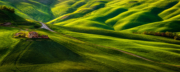 Impressive spring landscape,view with cypresses and vineyards ,Tuscany,Italy