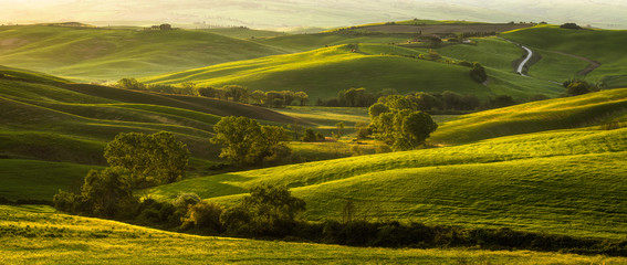 Impressive spring landscape,view with cypresses and vineyards ,Tuscany,Italy