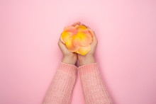Pink And Orange Roses Petals In Female Hands On Pink Background. Present Or Personal Care Concept