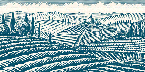 Poster -  Fields and hills of Tuscany. Scenic view of vineyards. Wide panoramic vine plantation in Chianti. French or Italian engraved landscape. Hand drawn monochrome vintage horizontal sketch. 