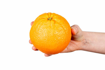 Wall Mural - Orange in hand on white background. Vegetarian food and vitamins