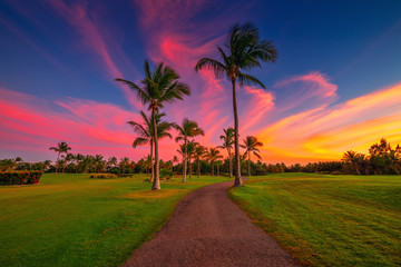 Poster - Tropical golf course at sunset in Dominican Republic, Punta Cana