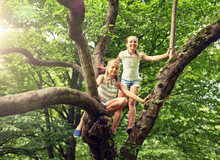 Friendship, Childhood, Leisure And People Concept - Two Happy Girls Climbing Up Tree And Having Fun In Summer Park