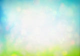 Fototapeta Nowy Jork - Spring or summer abstract nature background with fresh grass on blue sky backdrop with copy space.