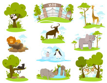 Zoo Animals Cartoon Characters, Set Of Isolated Stickers Vector Illustration. Collection Of Cute Exotic Animals In Zoo, Panda, Giraffe, Lion And Elephant. African Wildlife, Monkey, Rhino And Panther