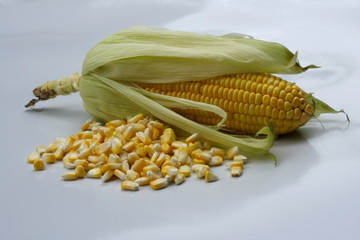 Sweet corn.