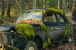 © Magnus - Mossy old car abandoned in a forest in Sweden