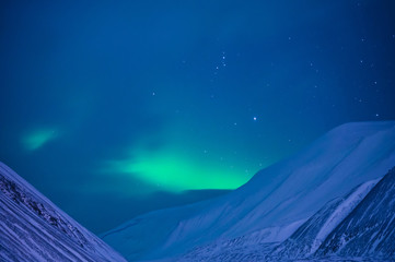 Wall Mural - the polar arctic northern lights aurora borealis sky star in norway svalbard in longyearbyen with th