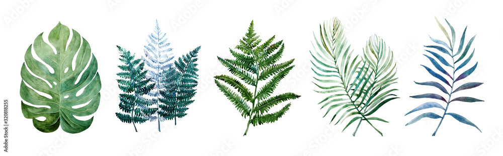 Beautiful watercolor tropical leaves painted on white paper - obrazy, fototapety, plakaty 