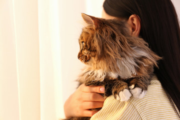 Canvas Print - Beautiful woman with her cute cat on light background, closeup. Fluffy pet