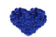 Heart-shaped bouquet of natural rose flowers, painted blue on a white background