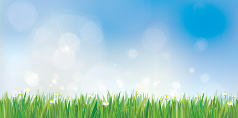 Wall Mural - vector spring nature background, blue sky and green grass border.