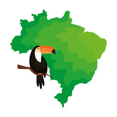 Poster - toucan animal exotic with map of brazil vector illustration design