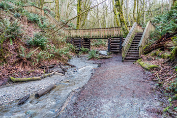 Nature Walking Bridge 2