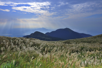 Sticker - Yangmingshan National Park