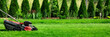 Lawn mower cutting green grass in backyard, mowing lawn, green thuja trees on background