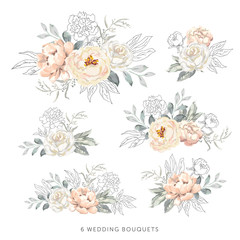 blush roses, peonies with gray, outline leaves bouquets, white background. set of the bridal floral 