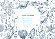 Underwater World Hand Drawn Collection. Sketch Illustration. Seaweed, Coral, Seashells, Starfish, Jellyfish, Fish Illustration. Vintage Design Template. Undersea World Collection.