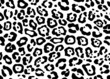 Leopard animal print repeat pattern