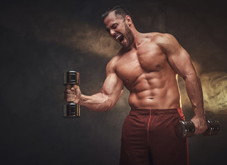 Wall Mural - Young handsome bodybuilder is posing for photographer with dumbbells.