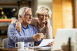 © Drazen - Happy mature couple using laptop while planning their home budget.