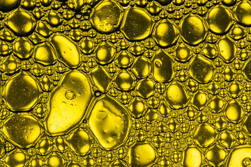 Wall Mural - Abstract oil drops in water