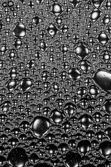 Wall Mural - Abstract oil drops in water