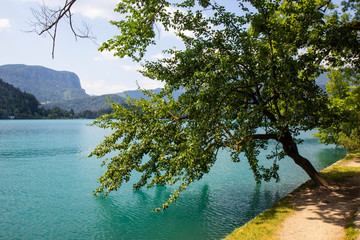 Wall Mural - view of famous lake Bled in Slovenia