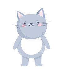 Sticker - cute little cat cartoon character on white background