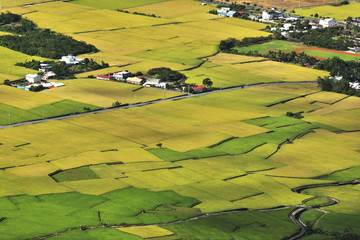 Wall Mural - High angle shot of farm