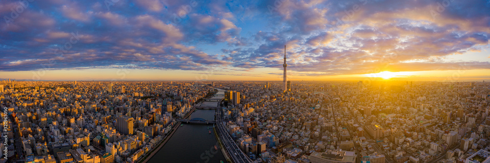 Aerial panorama view by drone of Tokyo Cityscape with Tokyo Sky Tree visible in Tokyo city, Japan - obrazy, fototapety, plakaty 