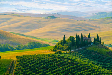 Wall Mural - Late summer aerial landscape of valley in Tuscany