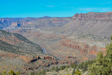 Wall Mural - Scenic Beauty of Salt River Canyon in Gila County, Tonto National Forest, Arizona USA