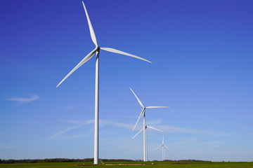 Wall Mural - Wind turbines and agricultural fields on summer day blue sky