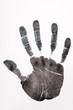 © LIGHTFIELD STUDIOS - top view of print of hand isolated on white, human rights concept