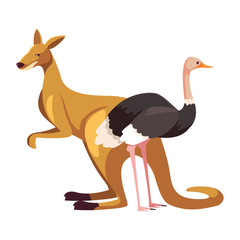 Poster - kangaroo and ostrich on white background