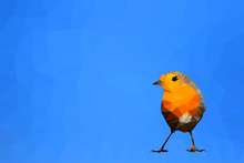 Bird Polygonal Low Poly Geometric. Robin Bird. 