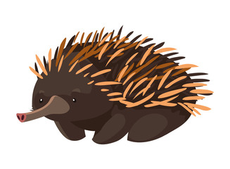 Sticker - cute echidna on white background