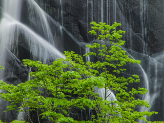 Canvas Print - yasunotaki falls　安の滝