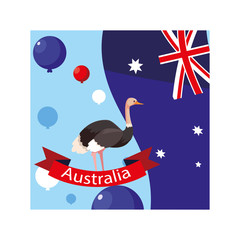 Poster - ostrich with australia flag in the background