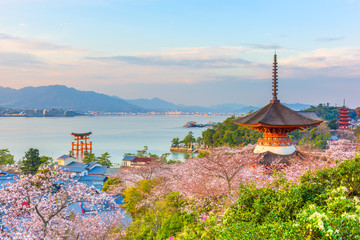 Fototapete - Miyajima Island, Hiroshima, Japan in Spring